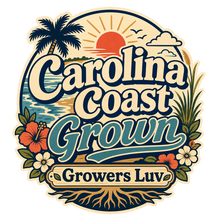 Carolina Coast Grown Men's Gildan Graphic Tee