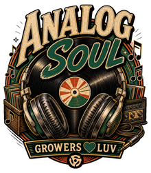 Analog Soul Women's Bella Canvas Graphic Tee