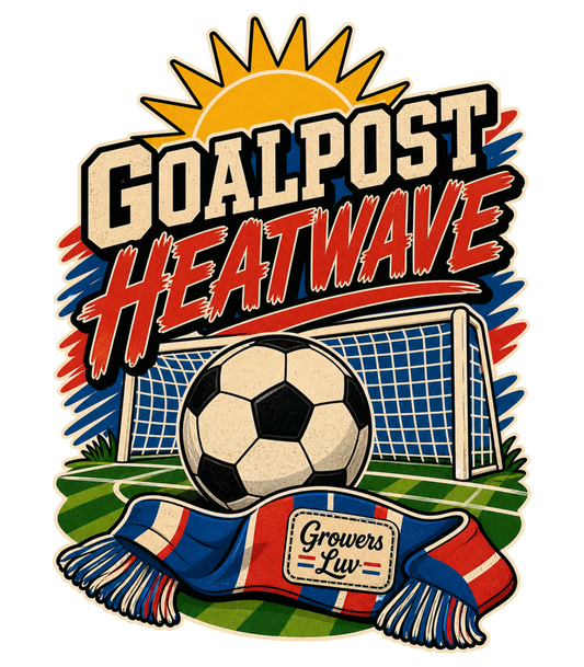 Goalpost Heatwave Men's Gildan Graphic Tee artwork detail